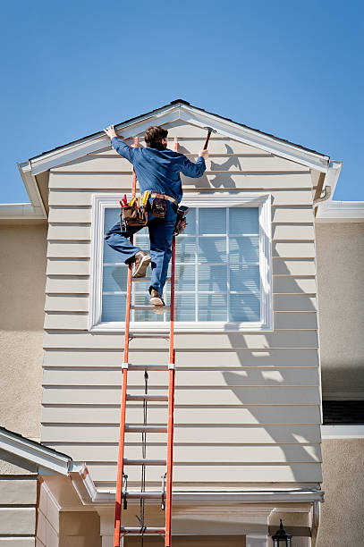 Shed Removal